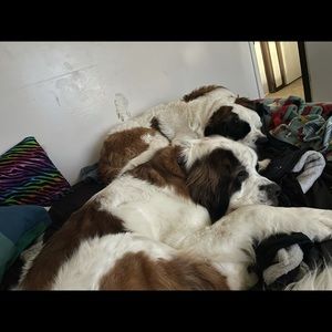 Meet your Posher, Kimberli